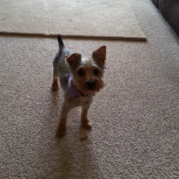 Meet your Posher, Heather - Picture 5 of 11